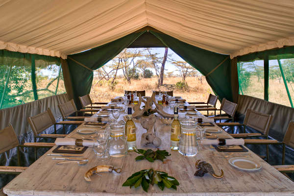 Camp équestre au Kenya