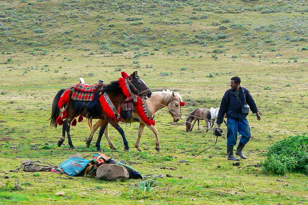 Camp équestre en Ethiopie