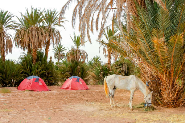 Campement au Sud du Maroc