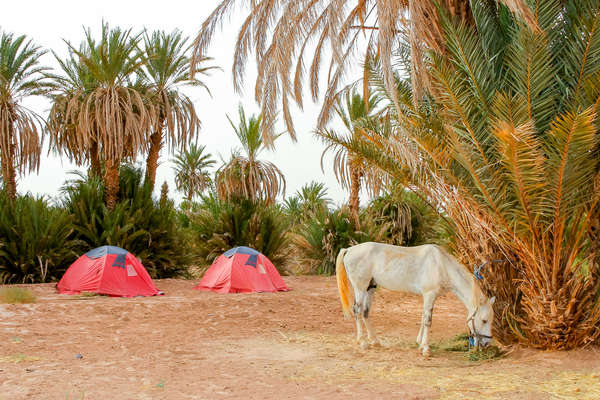 Campement au Sud du Maroc