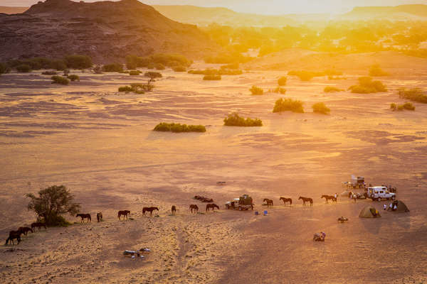 Campement et chevaux en Namibie