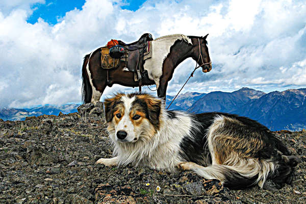 Randonnées à cheval dans l'ouest du Canada