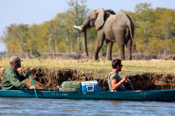 Canoë et éléphants au Zimbabwe