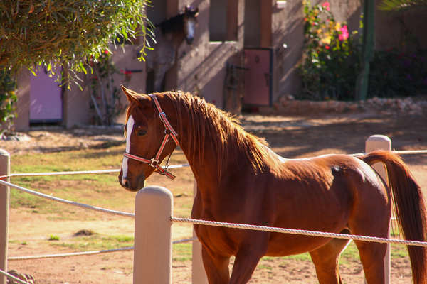 Carrière du ranch au Maroc