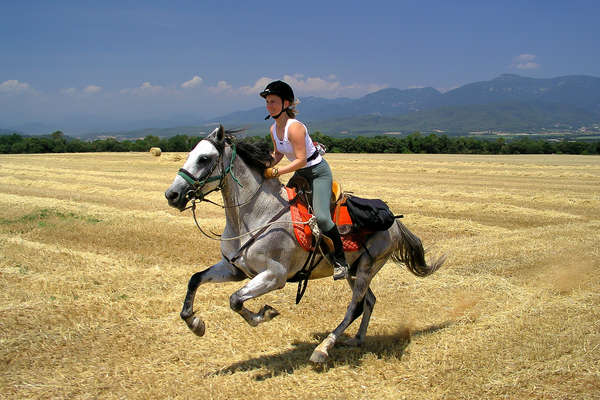 Catalogne à cheval