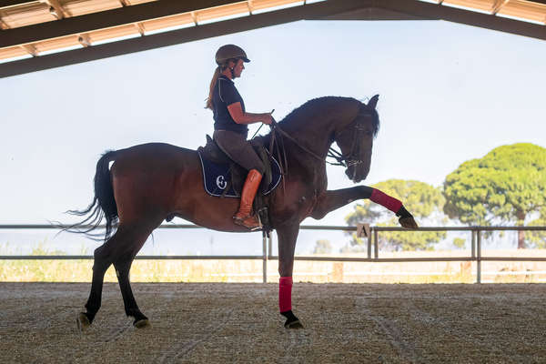 Cavalère en dressage