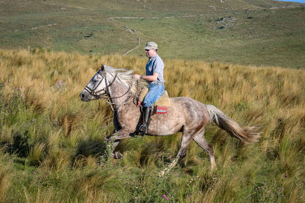 Cavalier au galop en Argentine