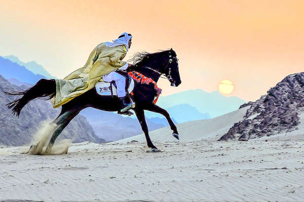 Cavalier au galop sur les dunes