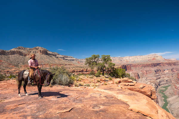 Cavalier devant le grand canyon