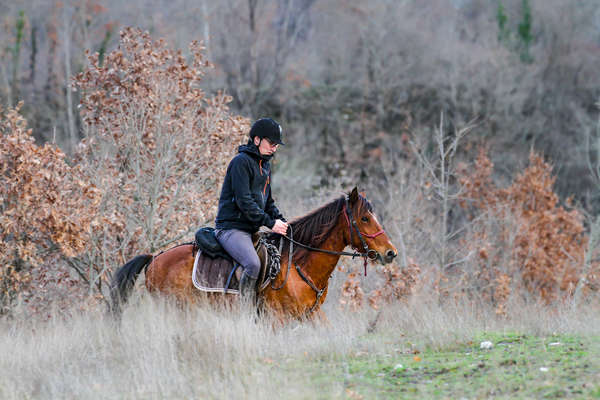 Cavalier en Albanie