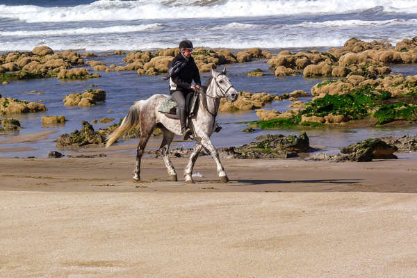 Cavalier en bord de mer au Maroc