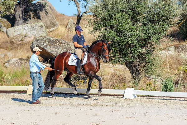 Cavalier en cours de dressage au Portugal