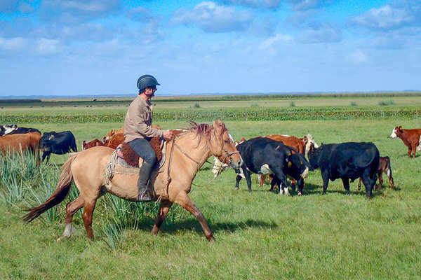 Uruguay à cheval