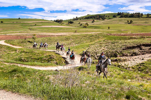 Cavalier et campagne en Bulgarie