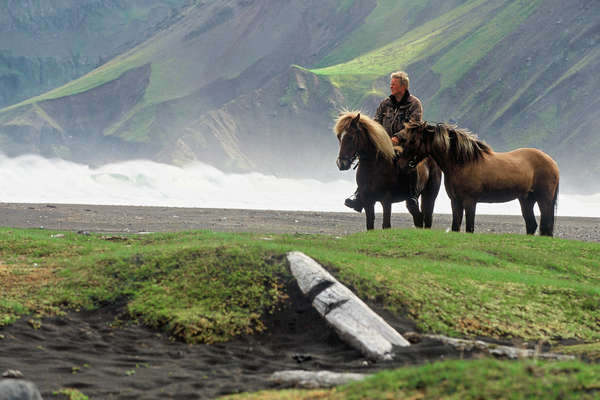 Cavalier et ses chevaux islandais