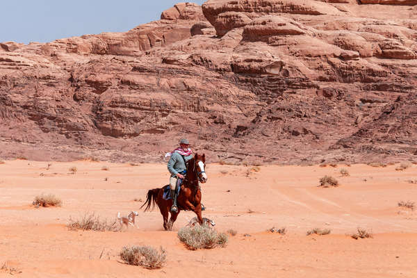 cavalier et ses chiens à Wadi Rum