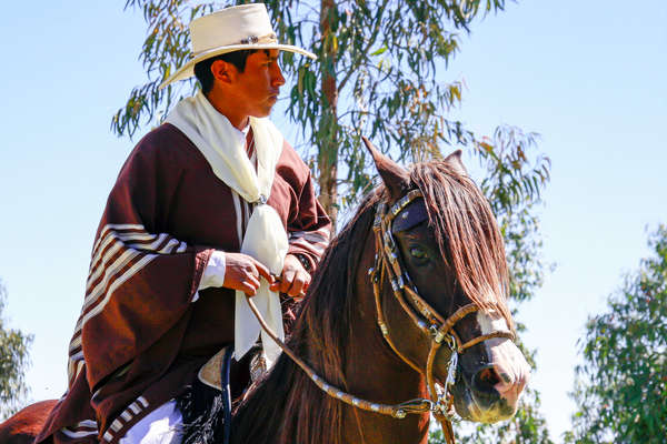 Cavalier péruvien à cheval