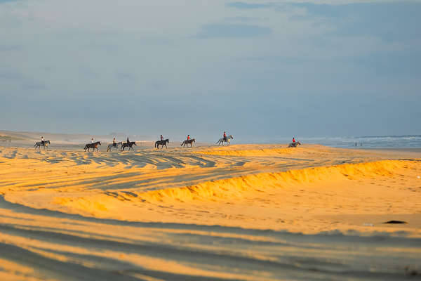 Cavalier sur les dunes d'Aquitaine