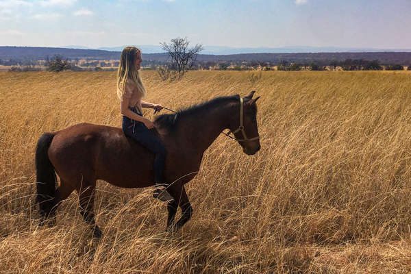 Cavalière à cru dans les hautes herbes