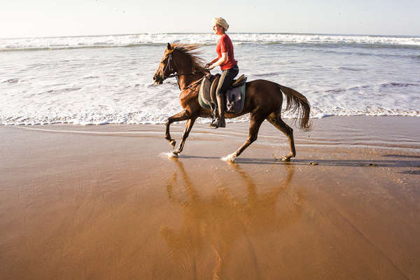 Cavalière au Maroc