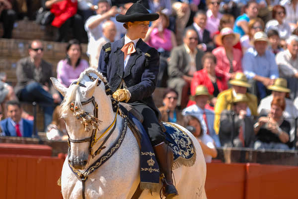 Cavalière au spectacle de l'École Royale d'Art Équestre de Jerez