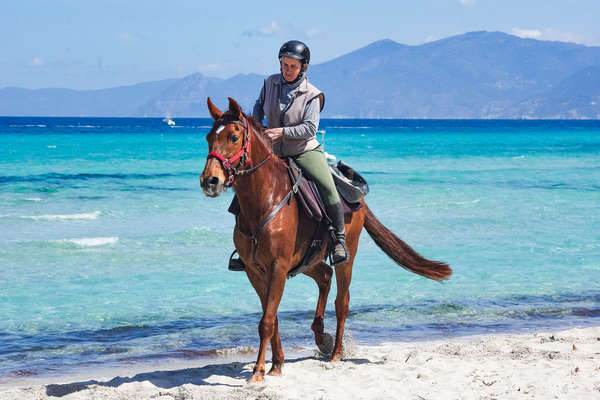 Cavalière en Corse