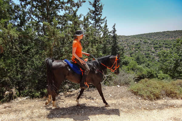 Cavalière en Israël