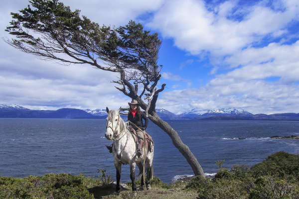 Cavalière en Patagonie