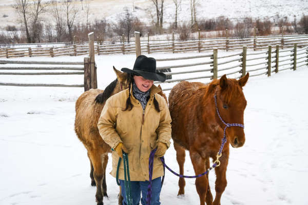 Cavalière et chevaux au Montana