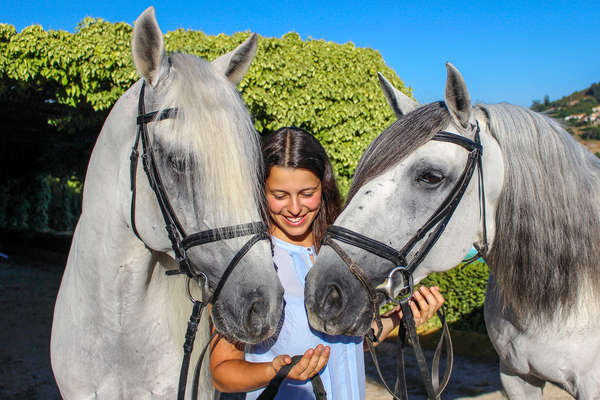 Cavalière et lusitaniens en école de dressage