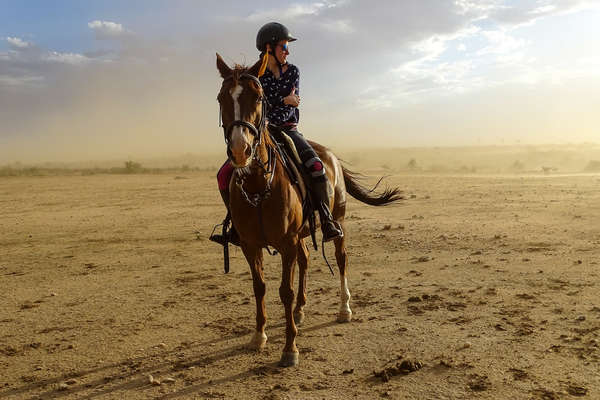 Cavalière et son cheval en Namibie