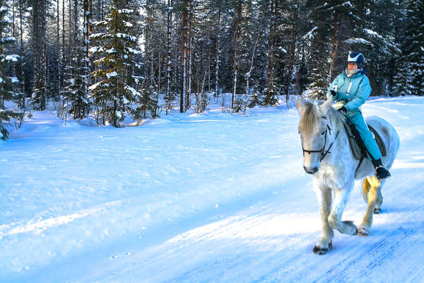 Cavalière et son cheval sur la neige