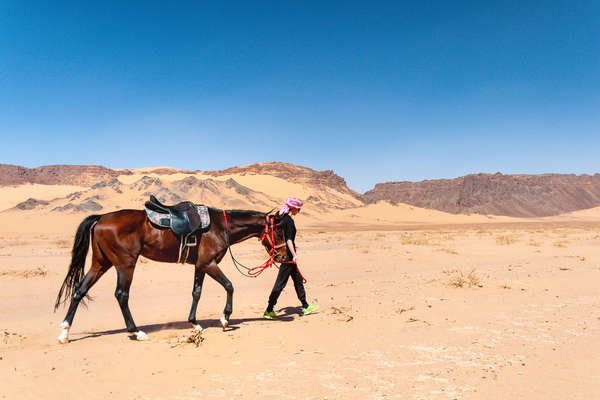 Cavalière marchant dans le désert avec son cheval