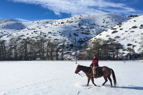 Cavalière sur la neige au Montana