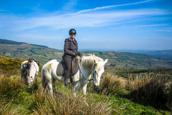 Cavalière sur les terres irlandaises