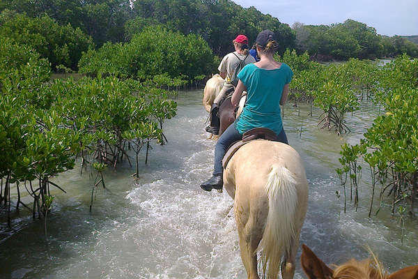 Nouvelle-Calédonie à cheval