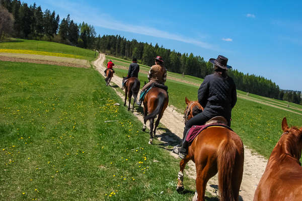 Cavaliers à cheval en Pologne