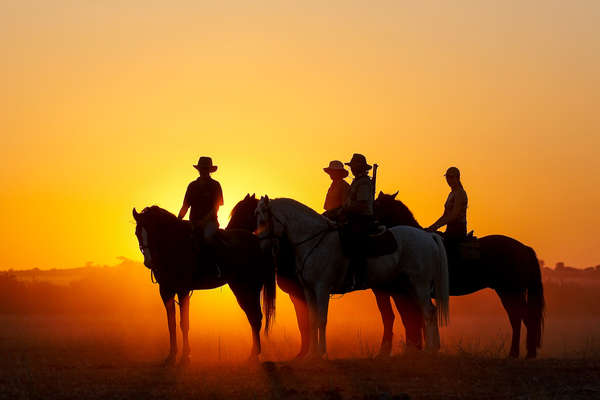 Cavaliers à Mashatu