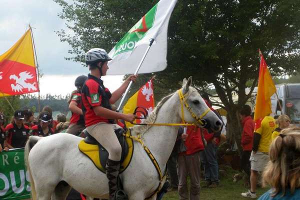 Course d'endurance et chevaux