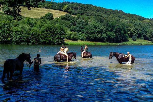 Cavaliers au frais dans l'eau