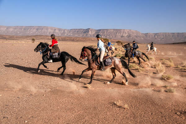 Cavaliers au galop au Maroc