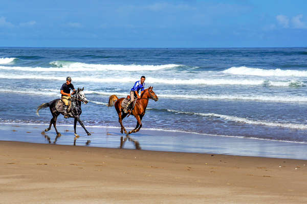 Cavaliers au galop au Maroc