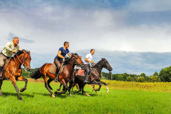 Cavaliers au galop - Croatie