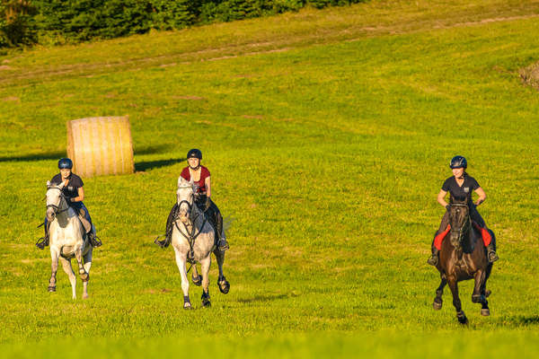 Cavaliers au galop dans les champs en Pologne