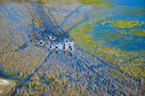 Cavaliers au galop dans l'Okavango