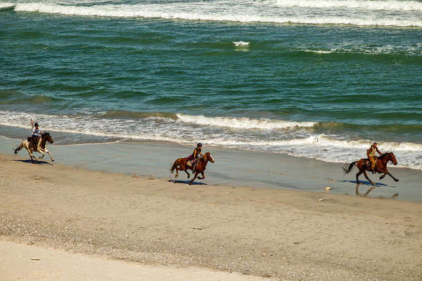 Cavaliers au galop sur la plage en Afrique du Sud