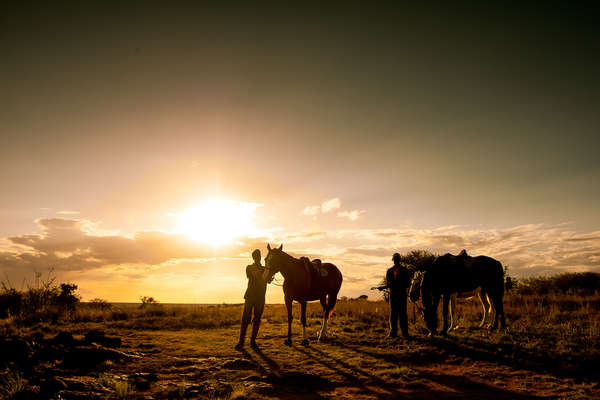 Cavaliers au Kenya