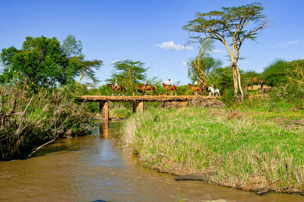 Cavaliers au Kenya