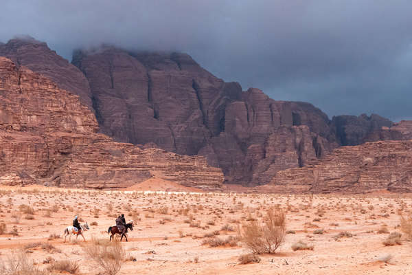 Cavaliers au pas dans le Wadi Rum