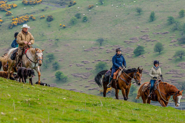 Cavaliers au pas dans les paysages anglais (Devon, Dartmoor)